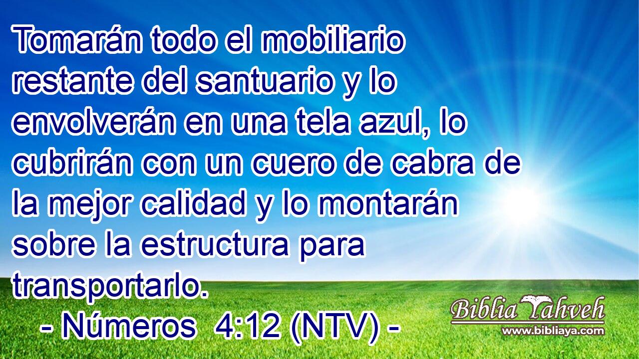 Tomarán todo el mobiliario restante del santuario y lo envolverán en una tela azul, lo cubrirán con un cuero de cabra de la mejor calidad y lo montarán sobre la estructura para transportarlo.