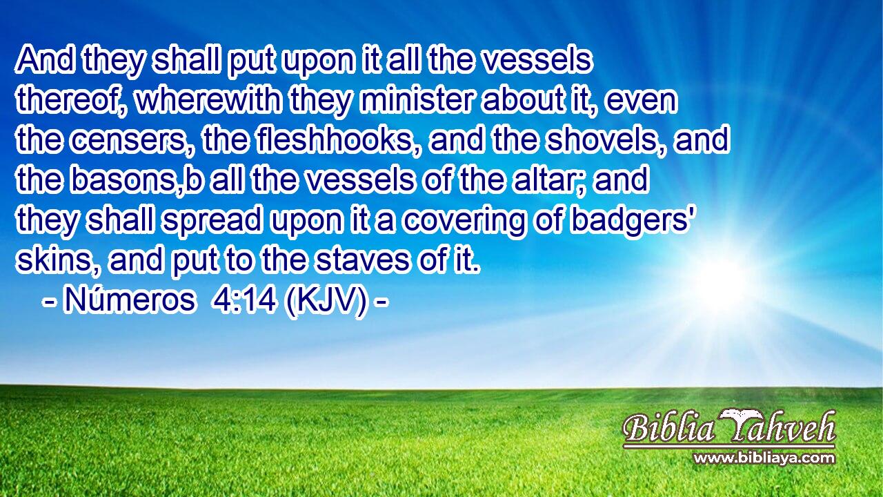 And they shall put upon it all the vessels thereof, wherewith they minister about it, even the censers, the fleshhooks, and the shovels, and the basons,b all the vessels of the altar; and they shall spread upon it a covering of badgers' skins, and put to the staves of it.