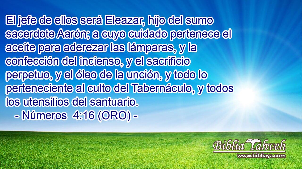  El jefe de ellos será Eleazar, hijo del sumo sacerdote Aarón; a cuyo cuidado pertenece el aceite para aderezar las lámparas, y la confección del incienso, y el sacrificio perpetuo, y el óleo de la unción, y todo lo perteneciente al culto del Tabernáculo, y todos los utensilios del santuario. 