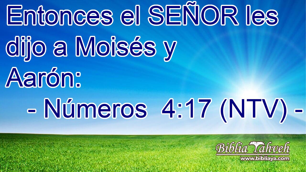 Entonces el SEÑOR les dijo a Moisés y Aarón: