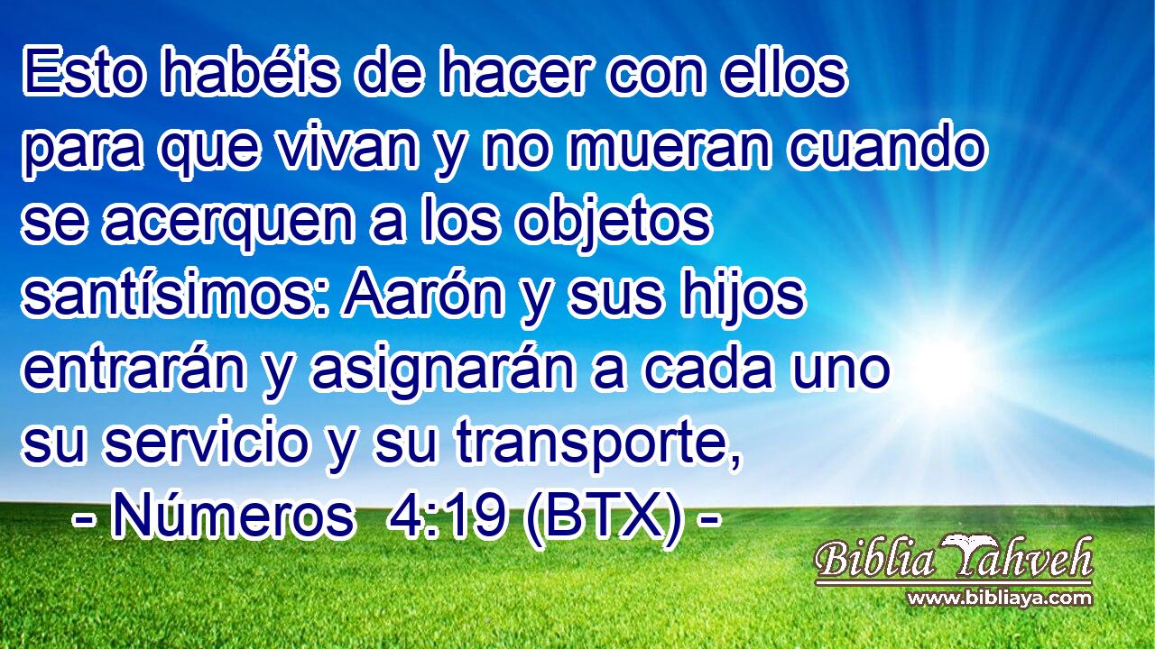 Esto habéis de hacer con ellos para que vivan y no mueran cuando se acerquen a los objetos santísimos: Aarón y sus hijos entrarán y asignarán a cada uno su servicio y su transporte,
