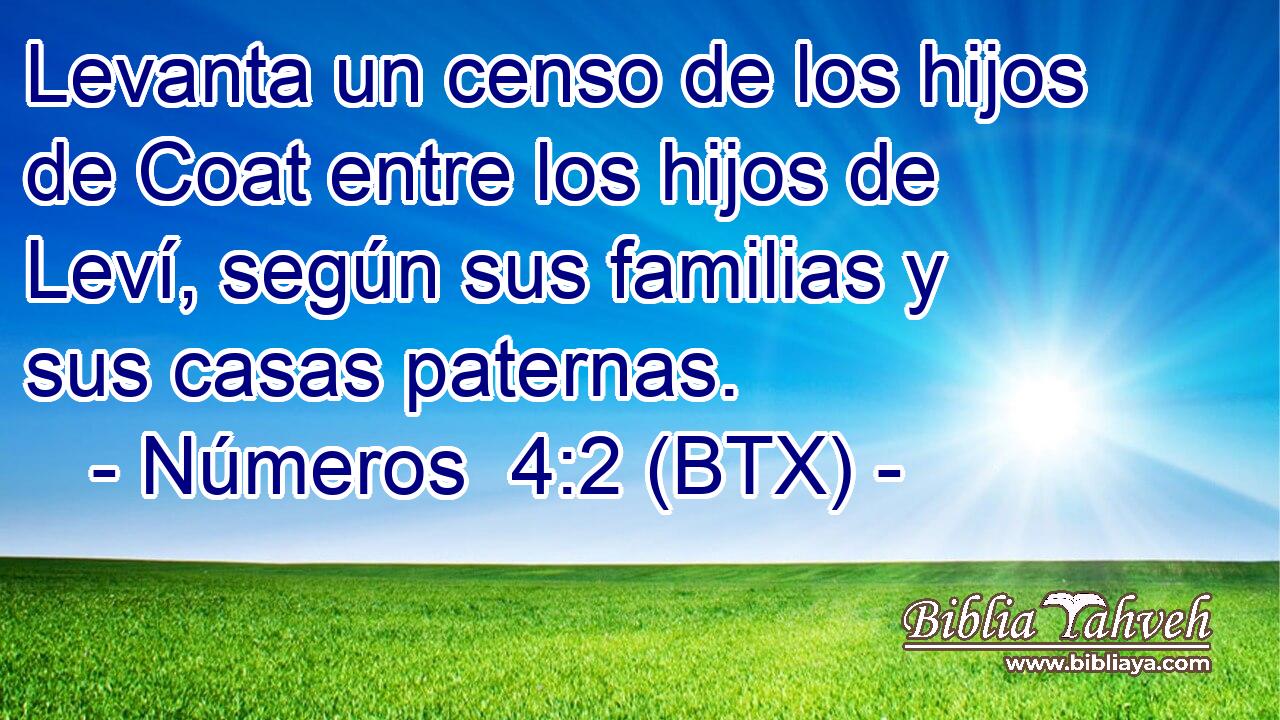 Levanta un censo de los hijos de Coat entre los hijos de Leví, según sus familias y sus casas paternas.