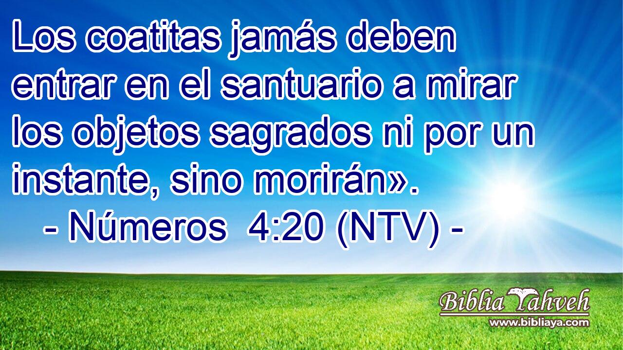 Los coatitas jamás deben entrar en el santuario a mirar los objetos sagrados ni por un instante, sino morirán».