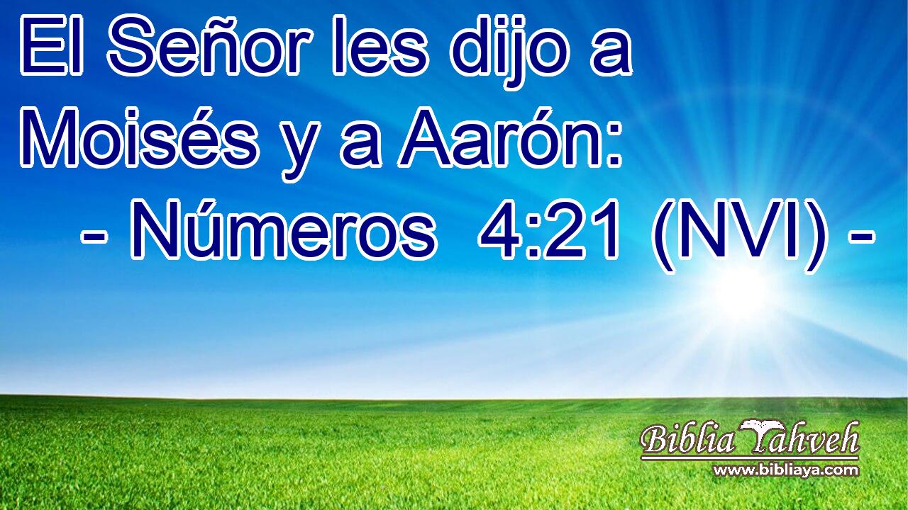  El Señor les dijo a Moisés y a Aarón: 