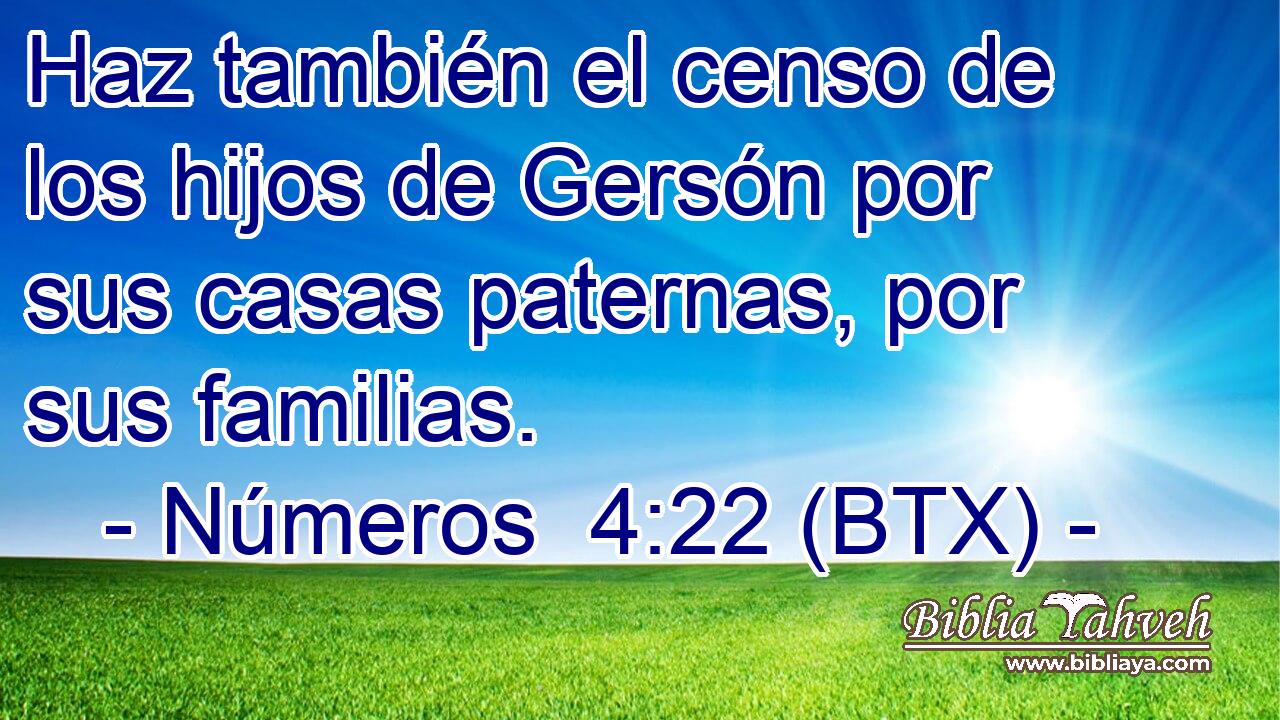 Haz también el censo de los hijos de Gersón por sus casas paternas, por sus familias.