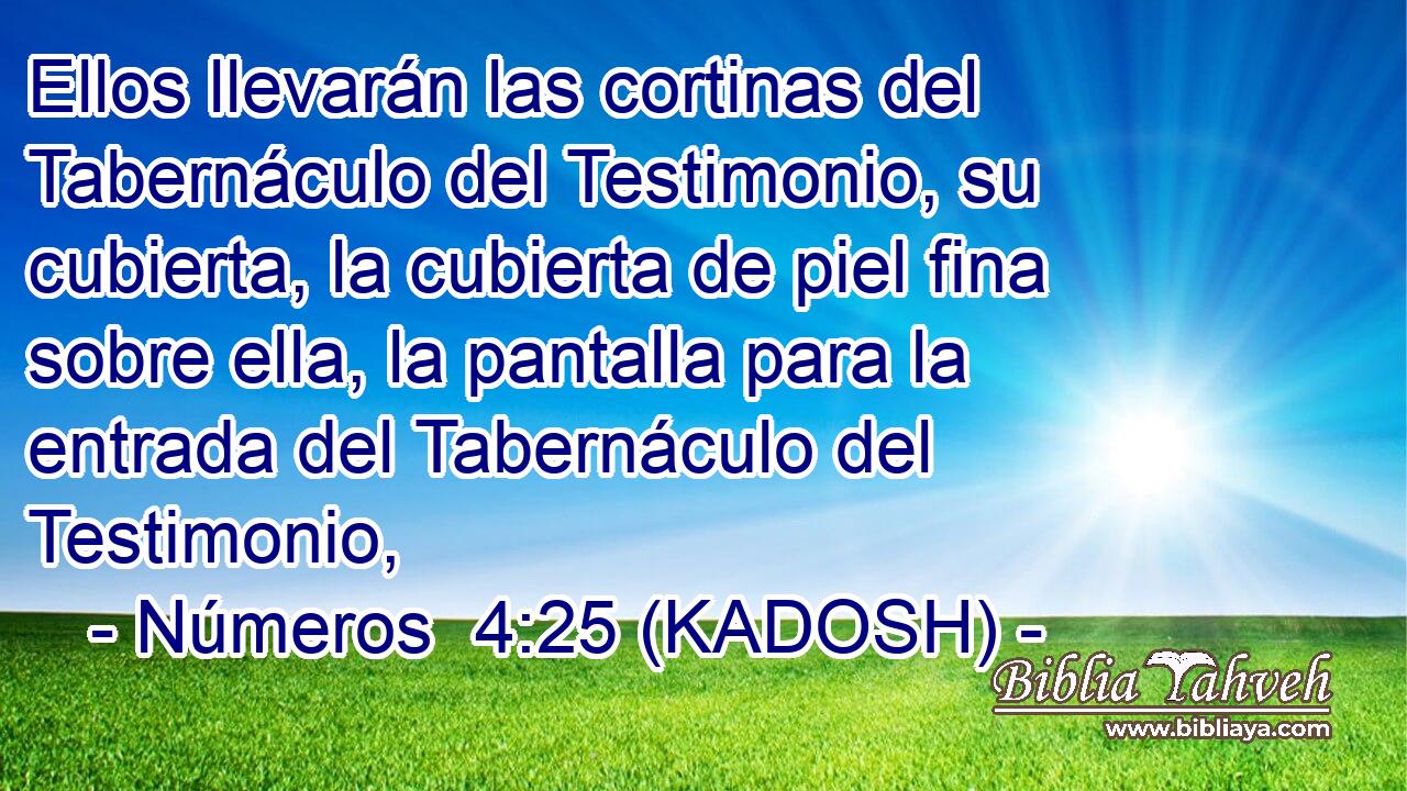  Ellos llevarán las cortinas del Tabernáculo del Testimonio, su cubierta, la cubierta de piel fina sobre ella, la pantalla para la entrada del Tabernáculo del Testimonio, 