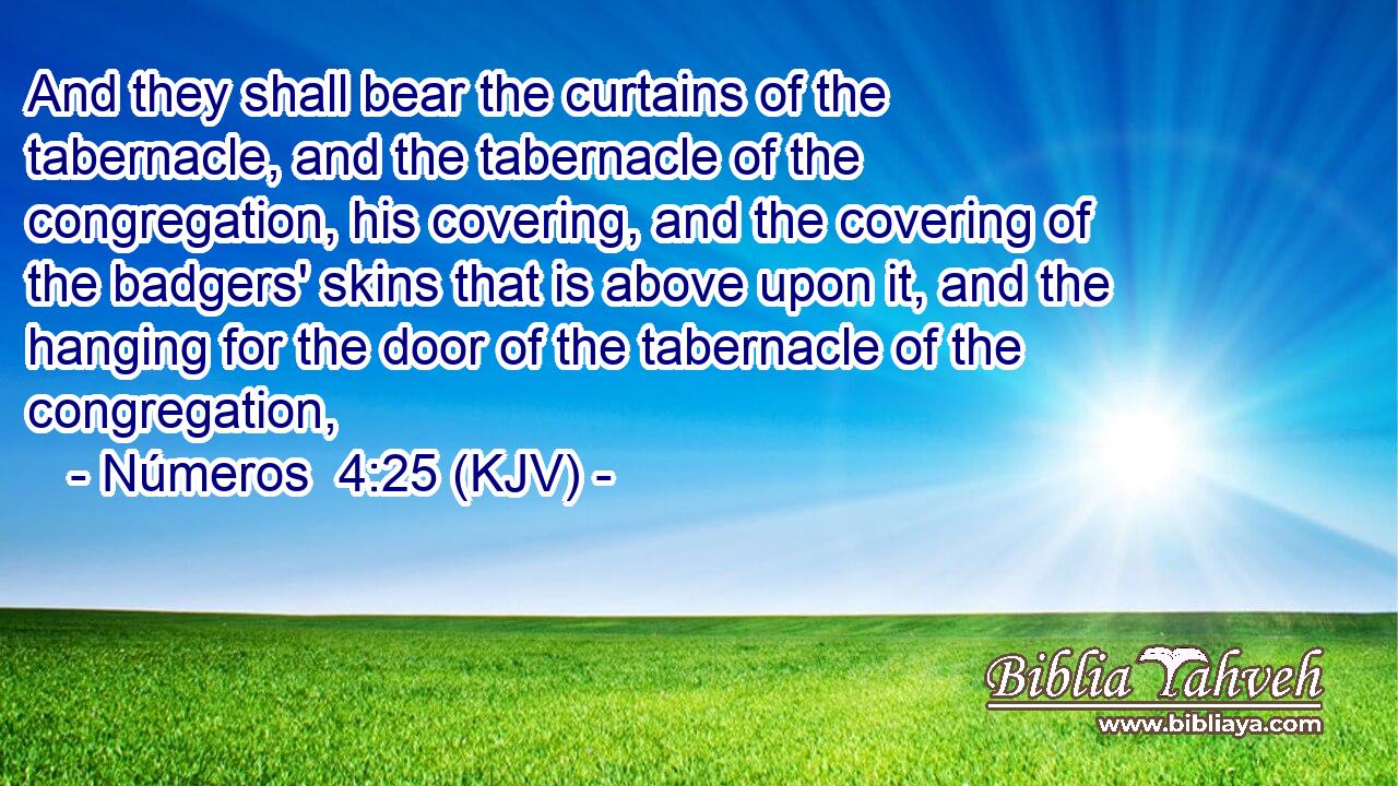 And they shall bear the curtains of the tabernacle, and the tabernacle of the congregation, his covering, and the covering of the badgers' skins that is above upon it, and the hanging for the door of the tabernacle of the congregation,