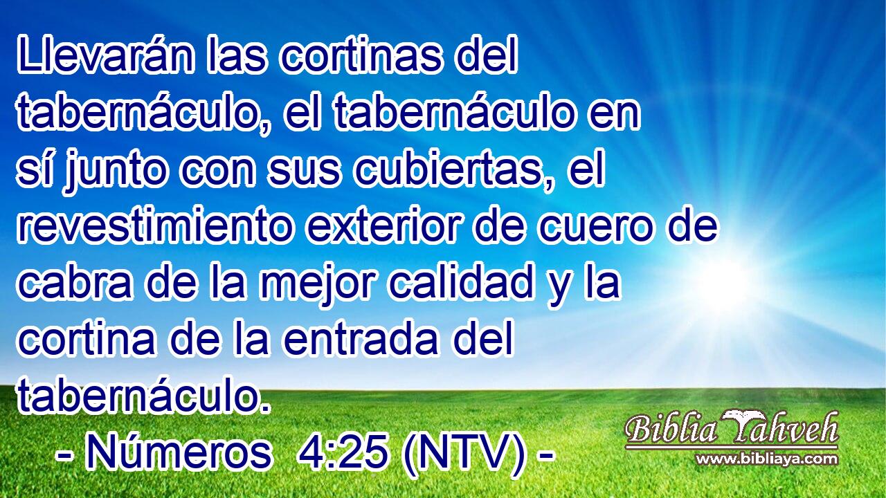 Llevarán las cortinas del tabernáculo, el tabernáculo en sí junto con sus cubiertas, el revestimiento exterior de cuero de cabra de la mejor calidad y la cortina de la entrada del tabernáculo.