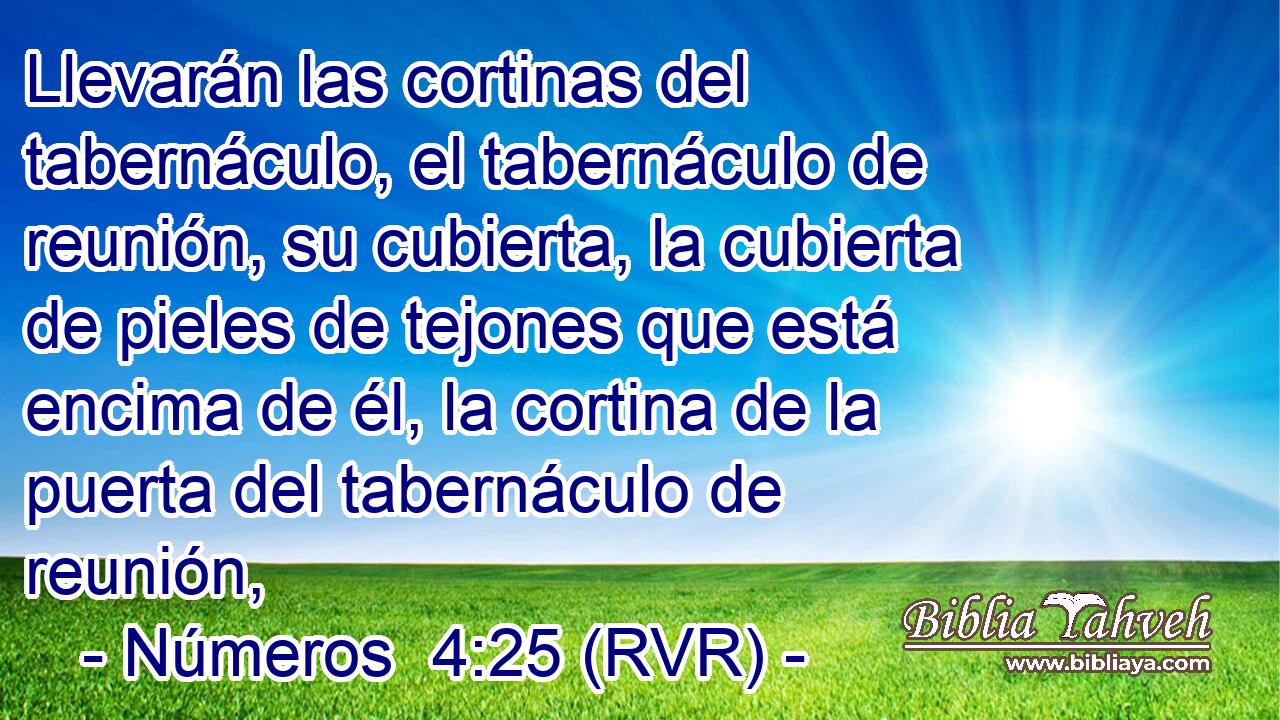 Llevarán las cortinas del tabernáculo, el tabernáculo de reunión, su cubierta, la cubierta de pieles de tejones que está encima de él, la cortina de la puerta del tabernáculo de reunión,