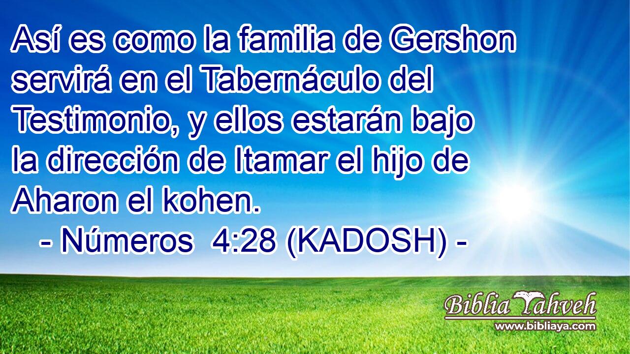  Así es como la familia de Gershon servirá en el Tabernáculo del Testimonio, y ellos estarán bajo la dirección de Itamar el hijo de Aharon el kohen. 