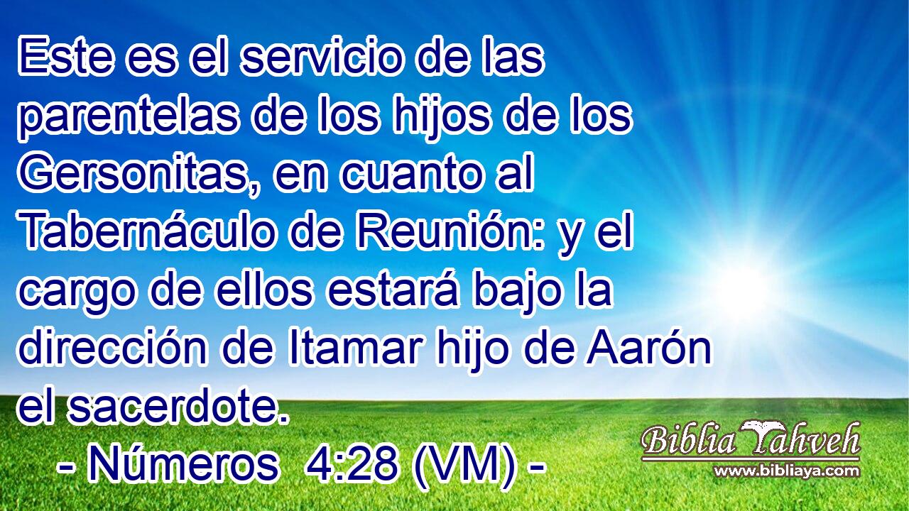  Este es el servicio de las parentelas de los hijos de los Gersonitas, en cuanto al Tabernáculo de Reunión: y el cargo de ellos estará bajo la dirección de Itamar hijo de Aarón el sacerdote. 
