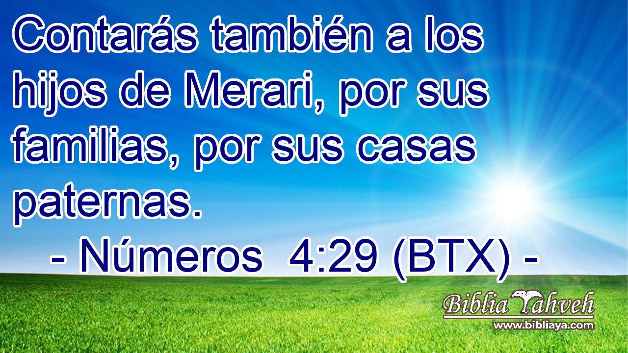 Contarás también a los hijos de Merari, por sus familias, por sus casas paternas.