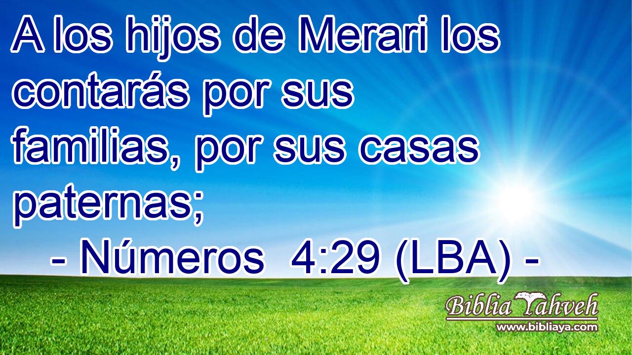 A los hijos de Merari los contarás por sus familias, por sus casas paternas;