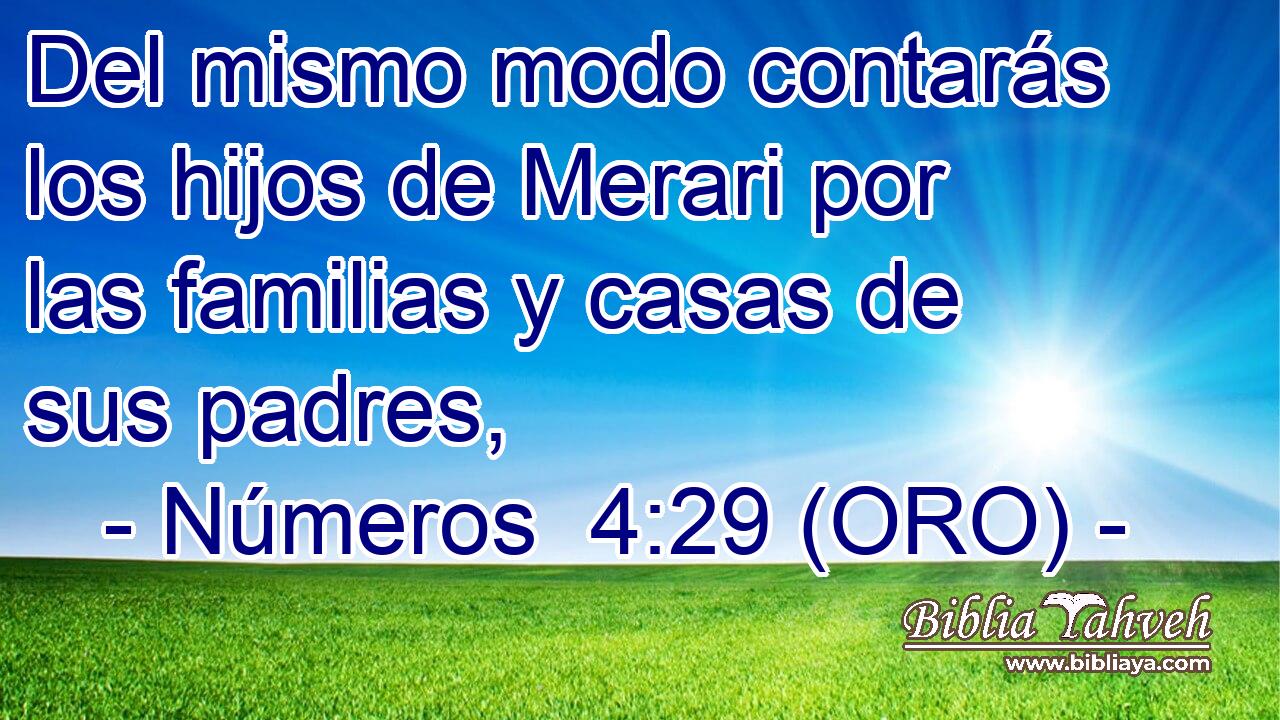  Del mismo modo contarás los hijos de Merari por las familias y casas de sus padres, 