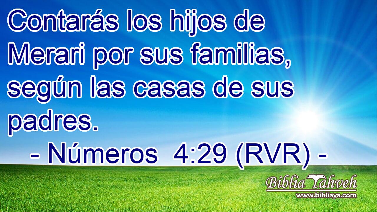Contarás los hijos de Merari por sus familias, según las casas de sus padres.