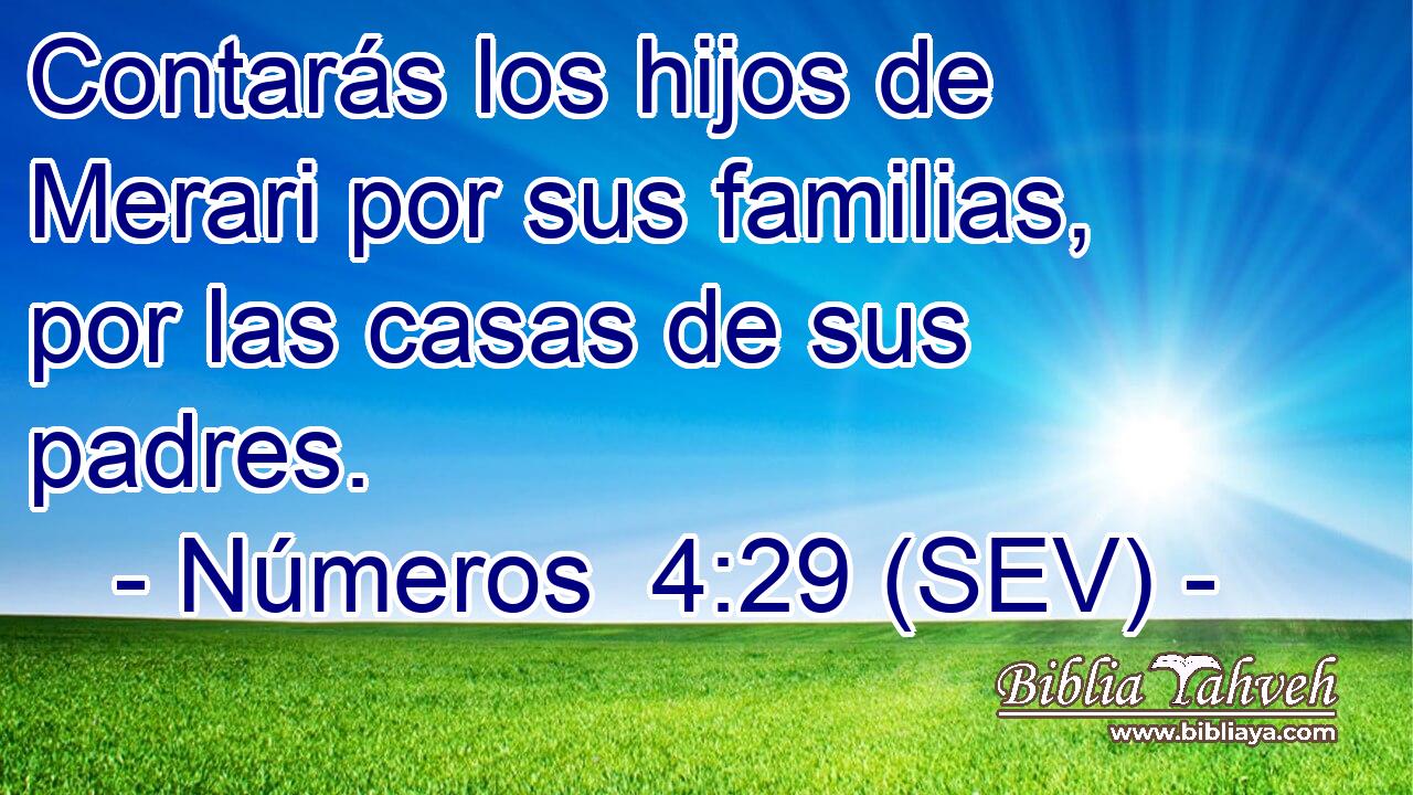 Contarás los hijos de Merari por sus familias, por las casas de sus padres.