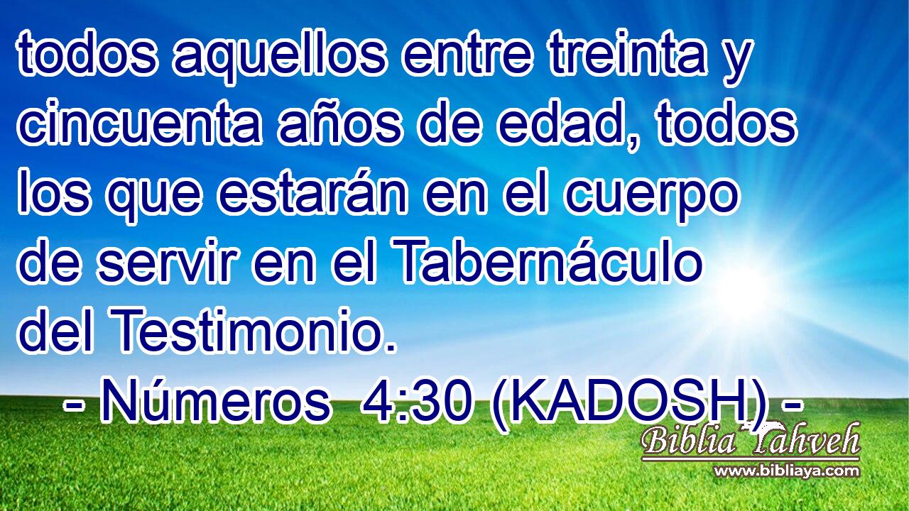  todos aquellos entre treinta y cincuenta años de edad, todos los que estarán en el cuerpo de servir en el Tabernáculo del Testimonio. 
