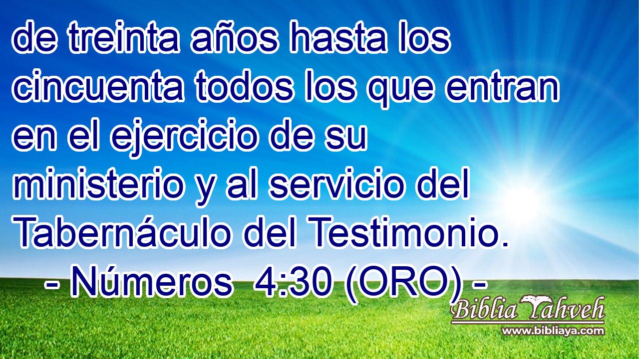  de treinta años hasta los cincuenta todos los que entran en el ejercicio de su ministerio y al servicio del Tabernáculo del Testimonio. 