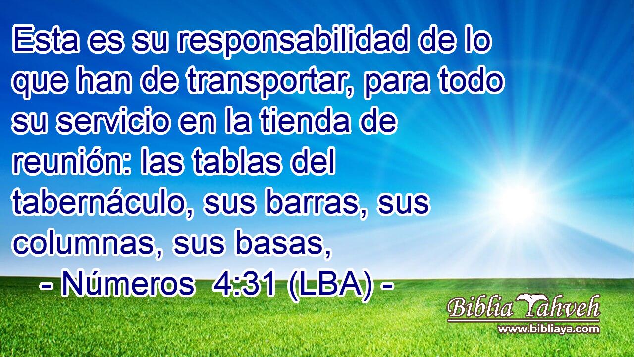 Esta es su responsabilidad de lo que han de transportar, para todo su servicio en la tienda de reunión: las tablas del tabernáculo, sus barras, sus columnas, sus basas,