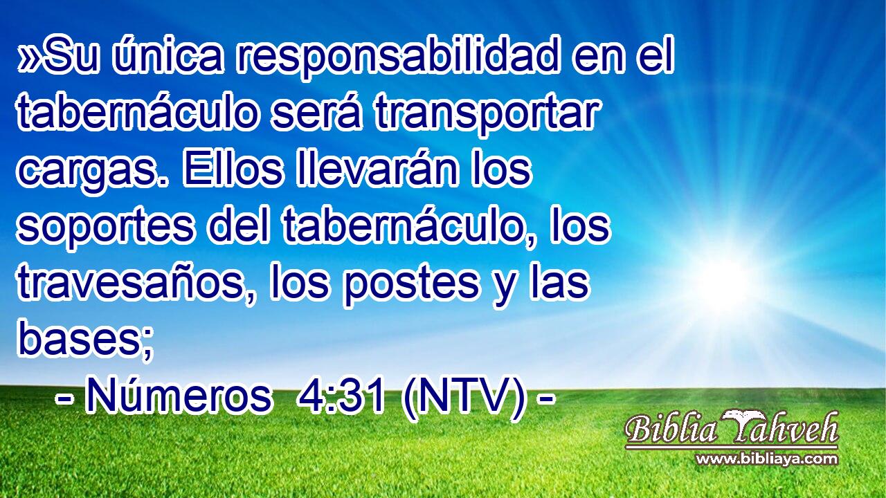 »Su única responsabilidad en el tabernáculo será transportar cargas. Ellos llevarán los soportes del tabernáculo, los travesaños, los postes y las bases;