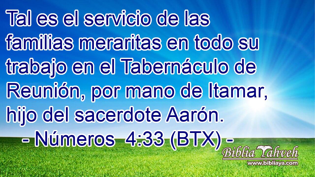 Tal es el servicio de las familias meraritas en todo su trabajo en el Tabernáculo de Reunión, por mano de Itamar, hijo del sacerdote Aarón.