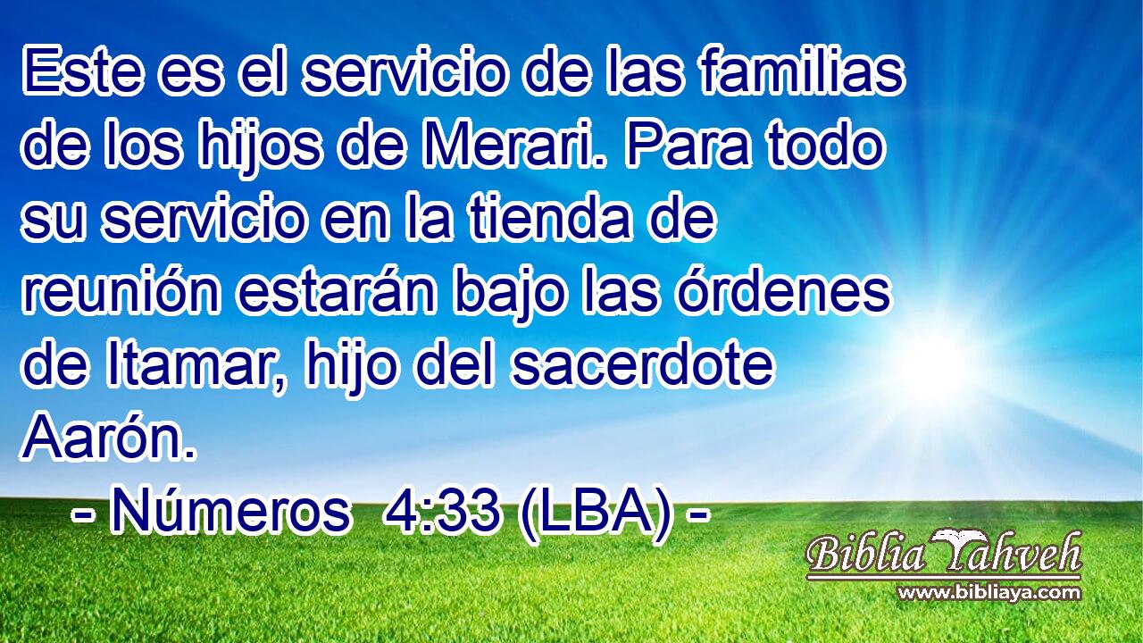 Este es el servicio de las familias de los hijos de Merari. Para todo su servicio en la tienda de reunión estarán bajo las órdenes de Itamar, hijo del sacerdote Aarón.
