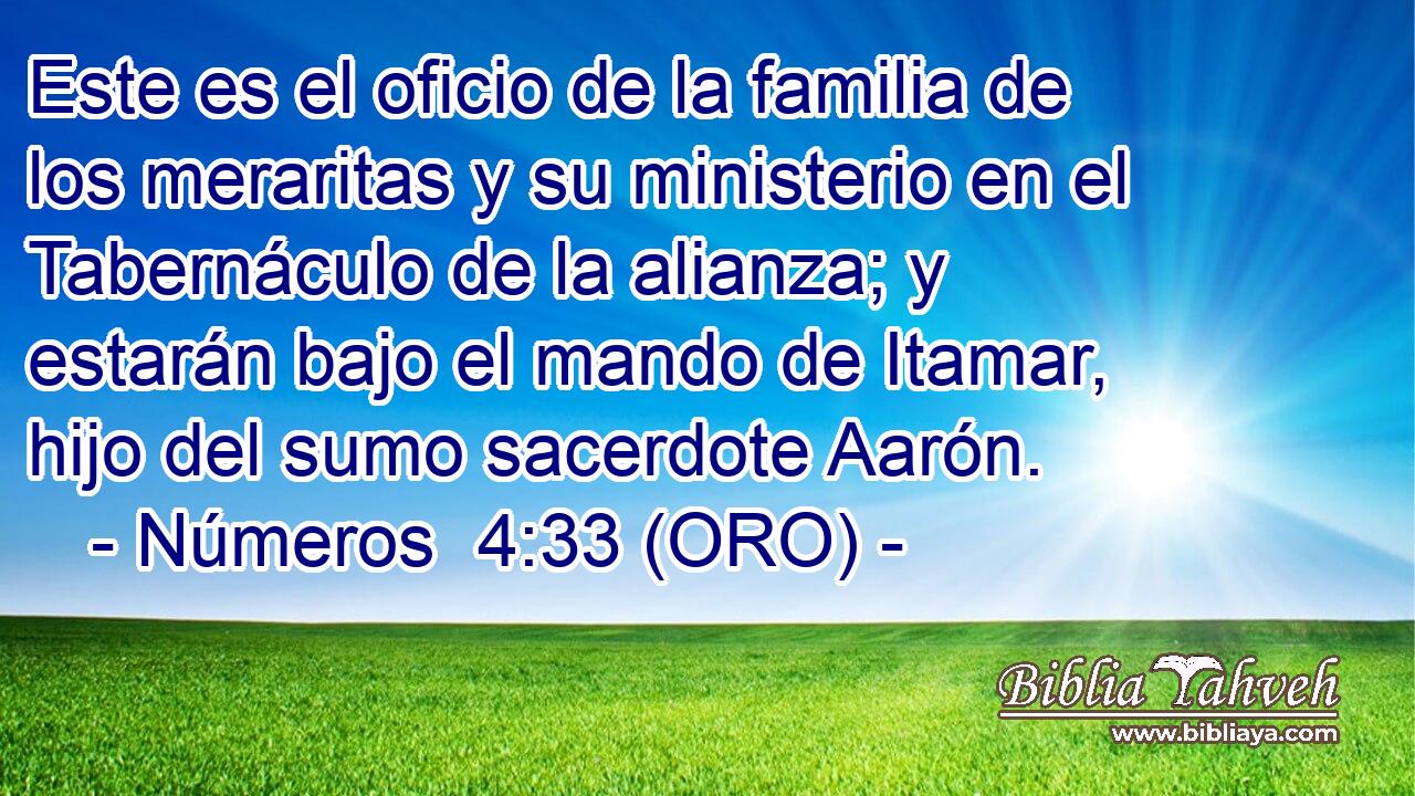  Este es el oficio de la familia de los meraritas y su ministerio en el Tabernáculo de la alianza; y estarán bajo el mando de Itamar, hijo del sumo sacerdote Aarón. 