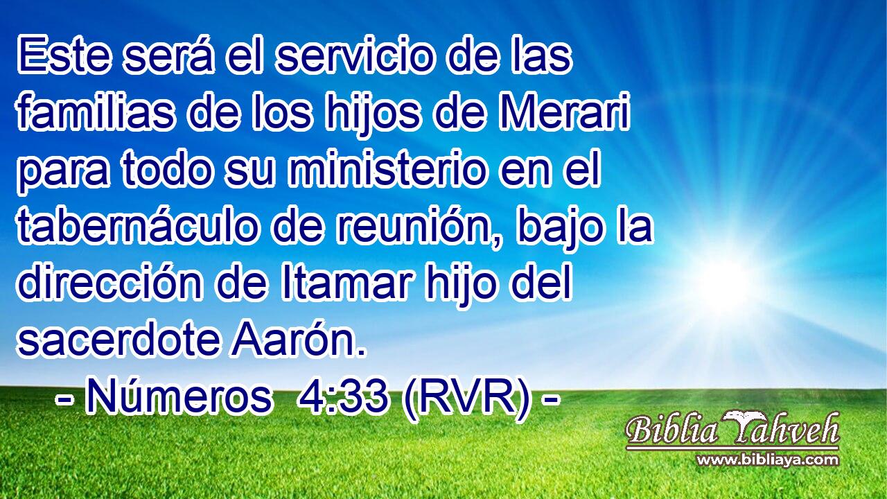 Este será el servicio de las familias de los hijos de Merari para todo su ministerio en el tabernáculo de reunión, bajo la dirección de Itamar hijo del sacerdote Aarón.