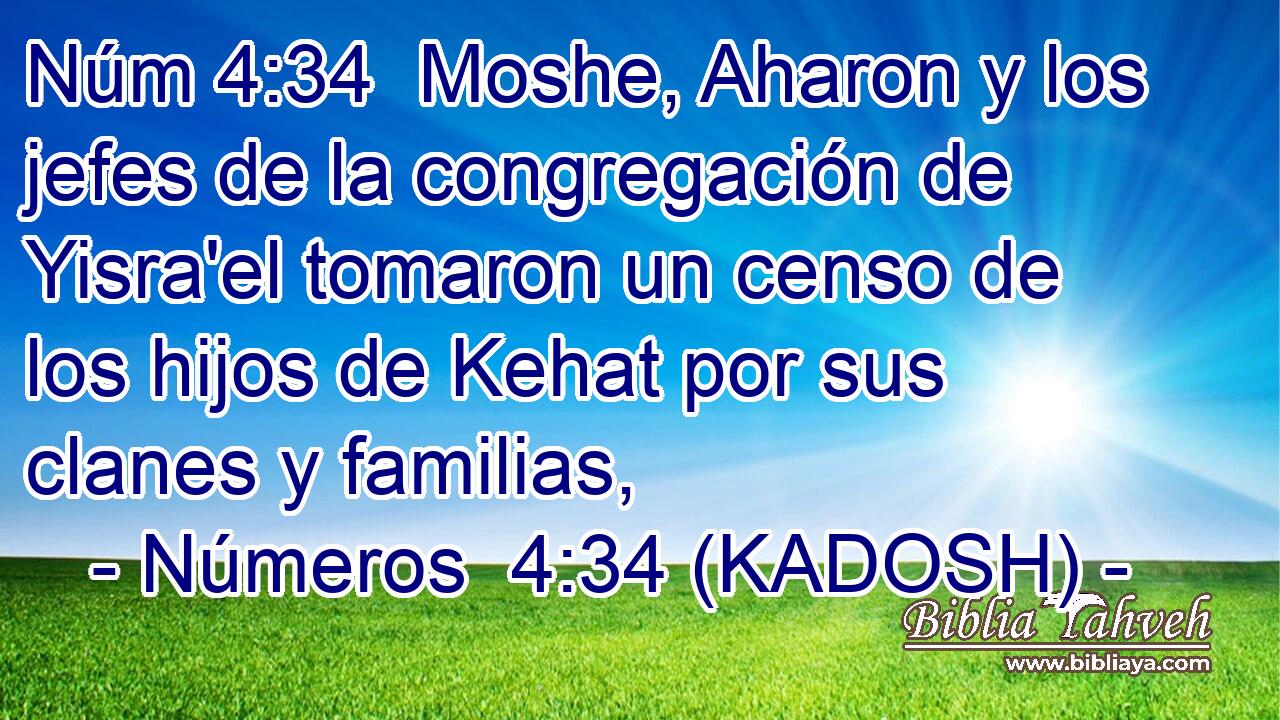  Moshe, Aharon y los jefes de la congregación de Yisra'el tomaron un censo de los hijos de Kehat por sus clanes y familias, 