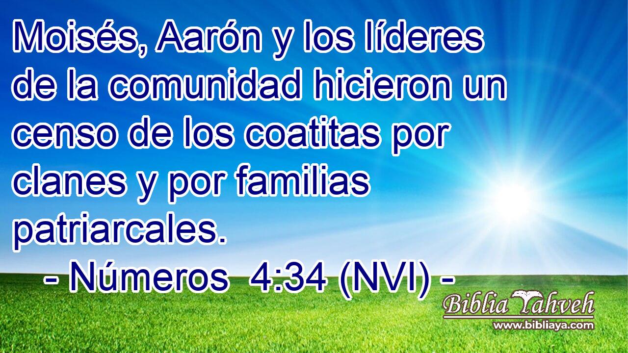  Moisés, Aarón y los líderes de la comunidad hicieron un censo de los coatitas por clanes y por familias patriarcales. 