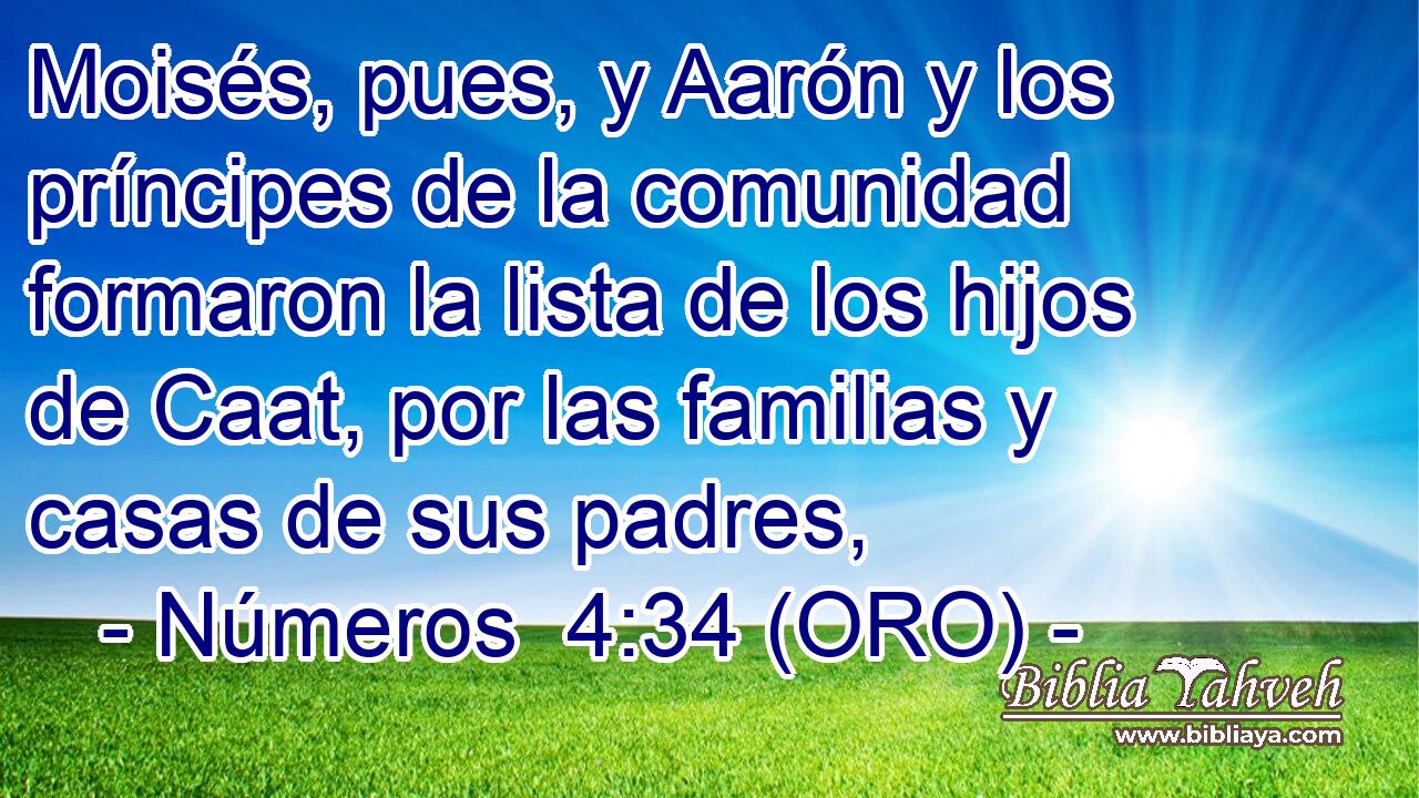  Moisés, pues, y Aarón y los príncipes de la comunidad formaron la lista de los hijos de Caat, por las familias y casas de sus padres, 