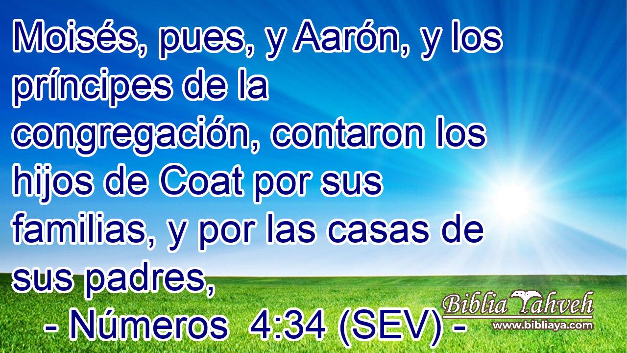 Moisés, pues, y Aarón, y los príncipes de la congregación, contaron los hijos de Coat por sus familias, y por las casas de sus padres,