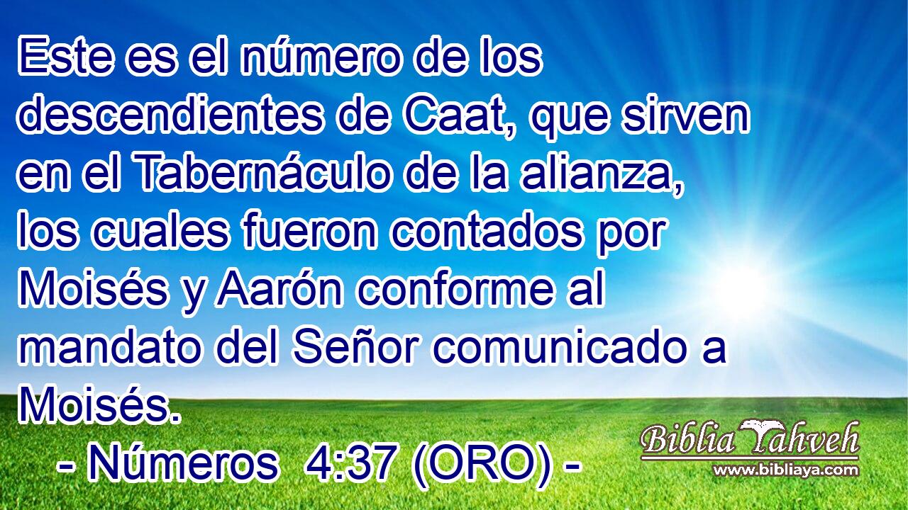  Este es el número de los descendientes de Caat, que sirven en el Tabernáculo de la alianza, los cuales fueron contados por Moisés y Aarón conforme al mandato del Señor comunicado a Moisés. 