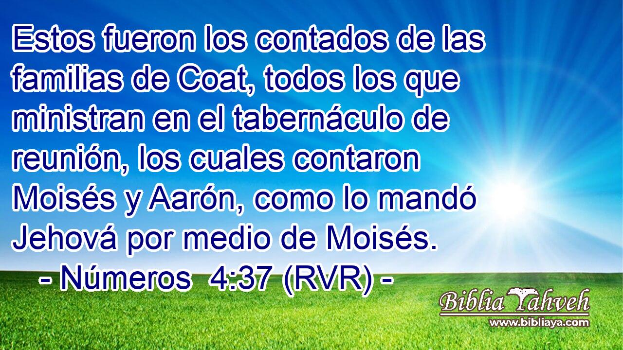 Estos fueron los contados de las familias de Coat, todos los que ministran en el tabernáculo de reunión, los cuales contaron Moisés y Aarón, como lo mandó Jehová por medio de Moisés.