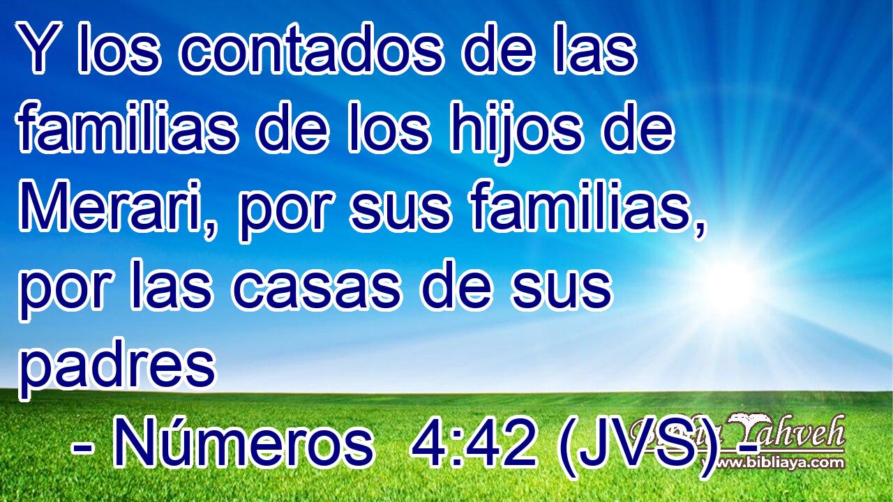 Y los contados de las familias de los hijos de Merari, por sus familias, por las casas de sus padres