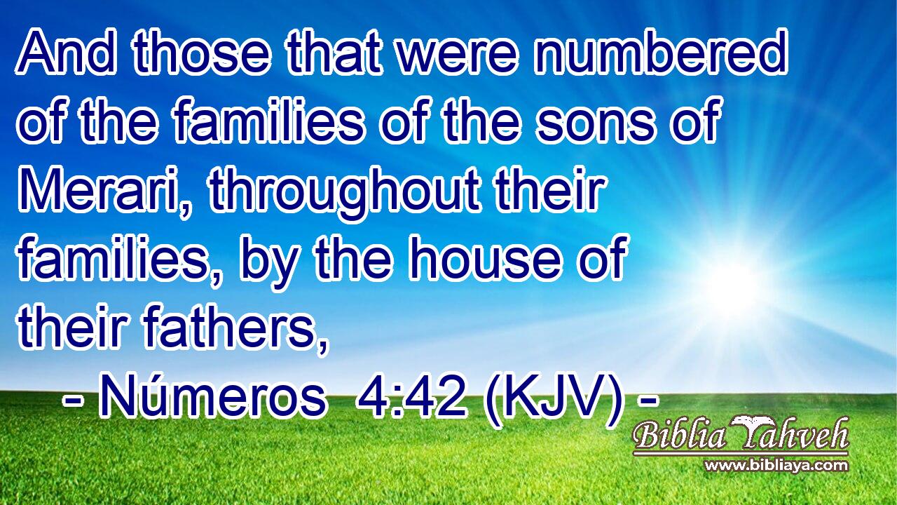 And those that were numbered of the families of the sons of Merari, throughout their families, by the house of their fathers,