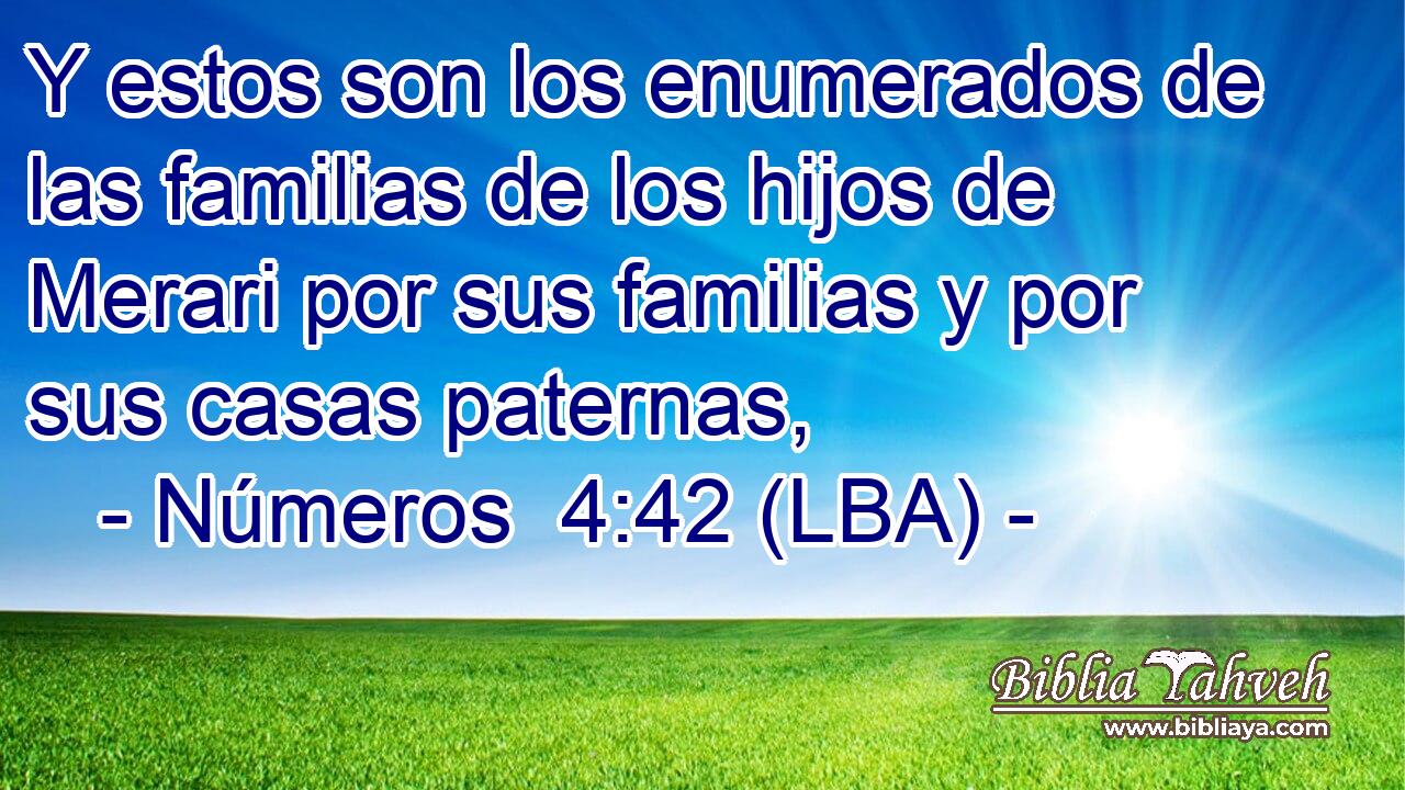 Y estos son los enumerados de las familias de los hijos de Merari por sus familias y por sus casas paternas,