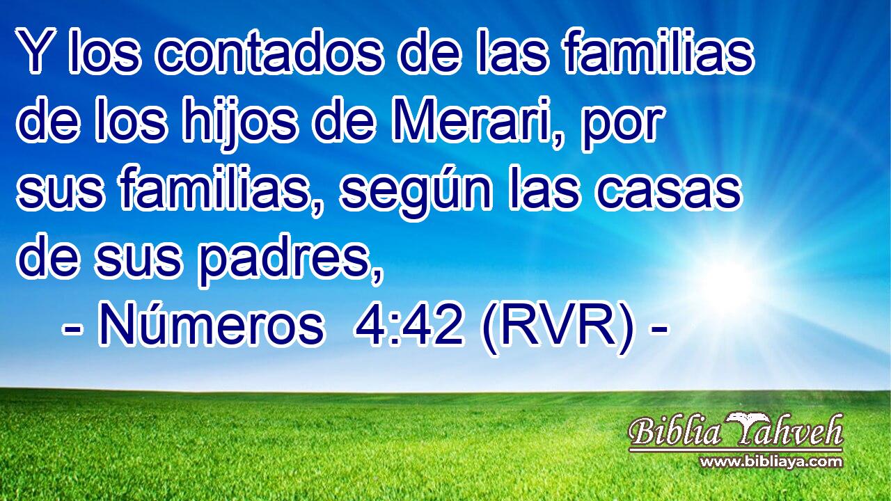 Y los contados de las familias de los hijos de Merari, por sus familias, según las casas de sus padres,