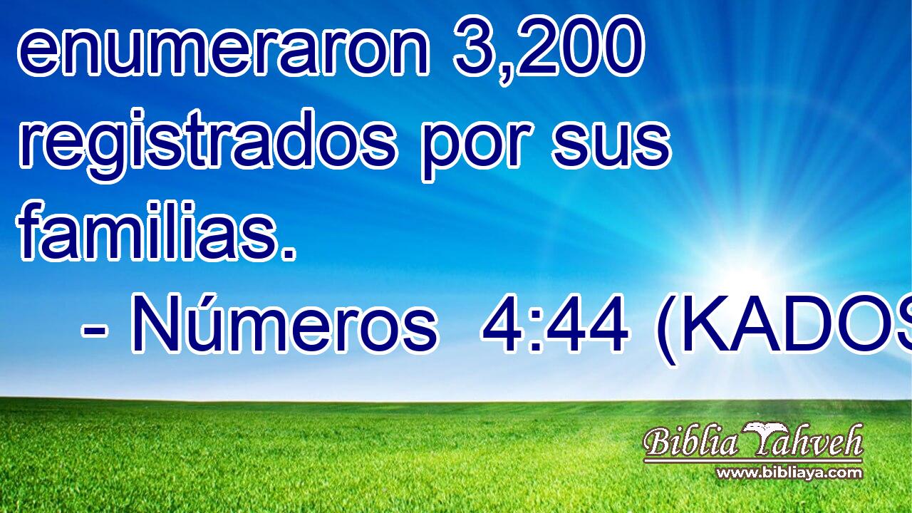  enumeraron 3,200 registrados por sus familias. 