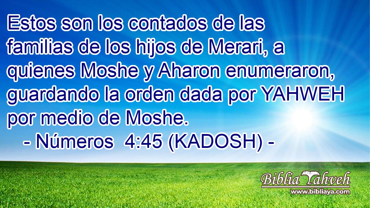  Estos son los contados de las familias de los hijos de Merari, a quienes Moshe y Aharon enumeraron, guardando la orden dada por YAHWEH por medio de Moshe. 