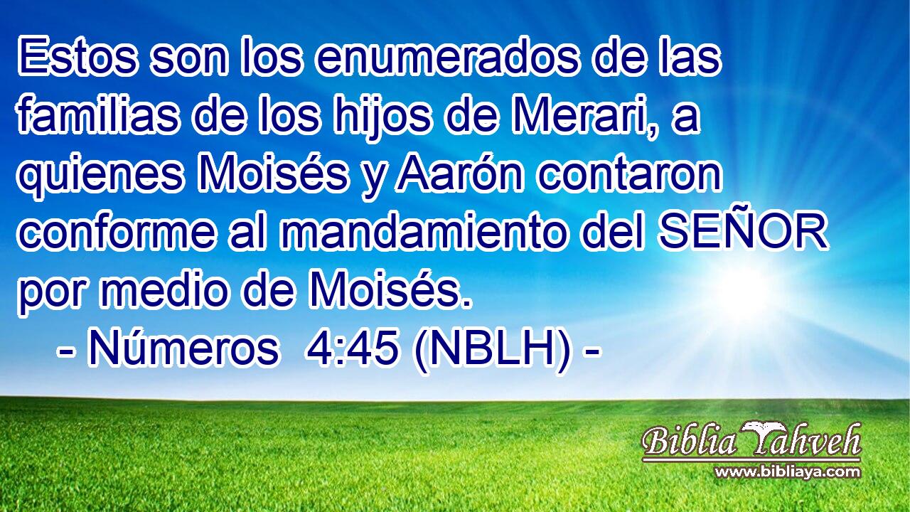  Estos son los enumerados de las familias de los hijos de Merari, a quienes Moisés y Aarón contaron conforme al mandamiento del SEÑOR por medio de Moisés. 