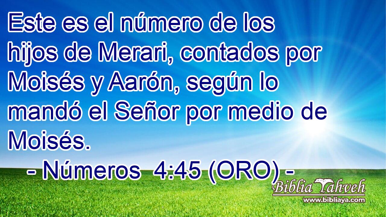  Este es el número de los hijos de Merari, contados por Moisés y Aarón, según lo mandó el Señor por medio de Moisés. 