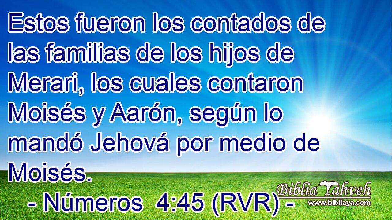 Estos fueron los contados de las familias de los hijos de Merari, los cuales contaron Moisés y Aarón, según lo mandó Jehová por medio de Moisés.