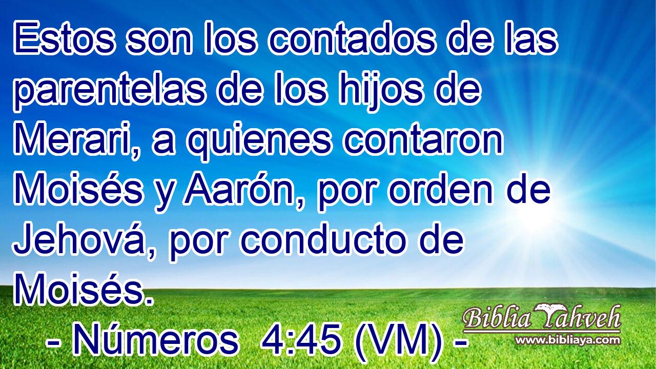  Estos son los contados de las parentelas de los hijos de Merari, a quienes contaron Moisés y Aarón, por orden de Jehová, por conducto de Moisés. 