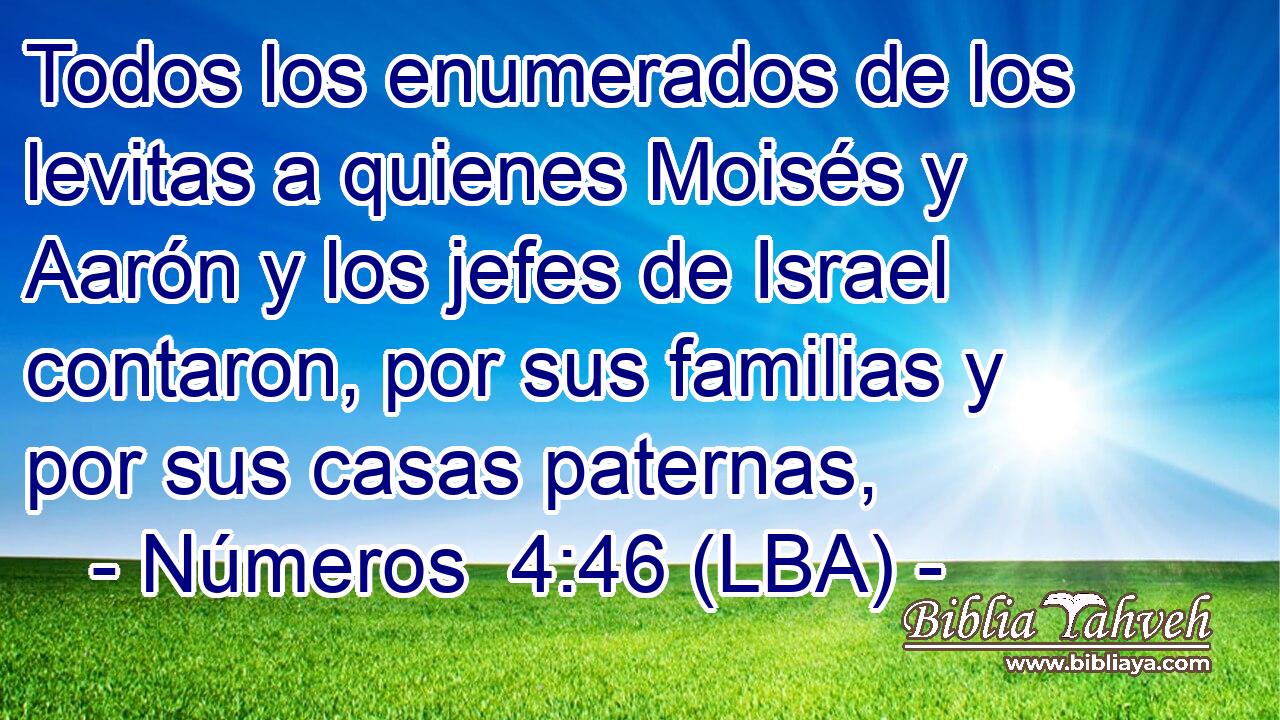 Todos los enumerados de los levitas a quienes Moisés y Aarón y los jefes de Israel contaron, por sus familias y por sus casas paternas,