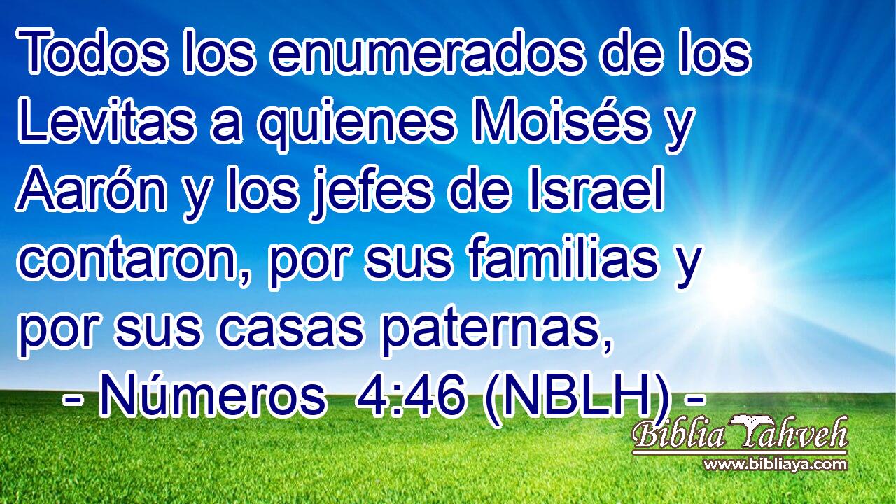  Todos los enumerados de los Levitas a quienes Moisés y Aarón y los jefes de Israel contaron, por sus familias y por sus casas paternas, 