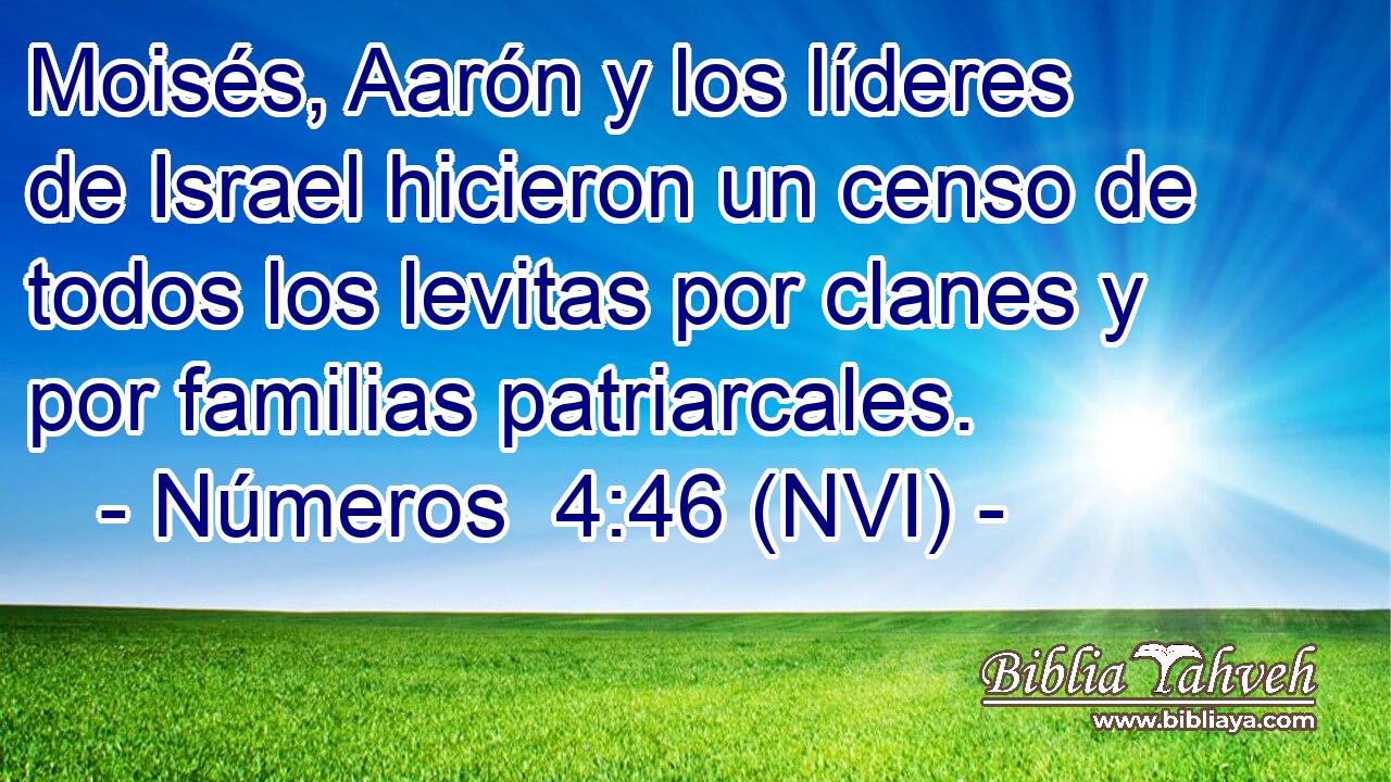  Moisés, Aarón y los líderes de Israel hicieron un censo de todos los levitas por clanes y por familias patriarcales. 