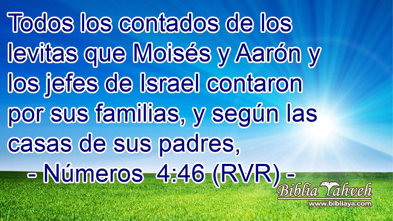 Todos los contados de los levitas que Moisés y Aarón y los jefes de Israel contaron por sus familias, y según las casas de sus padres,