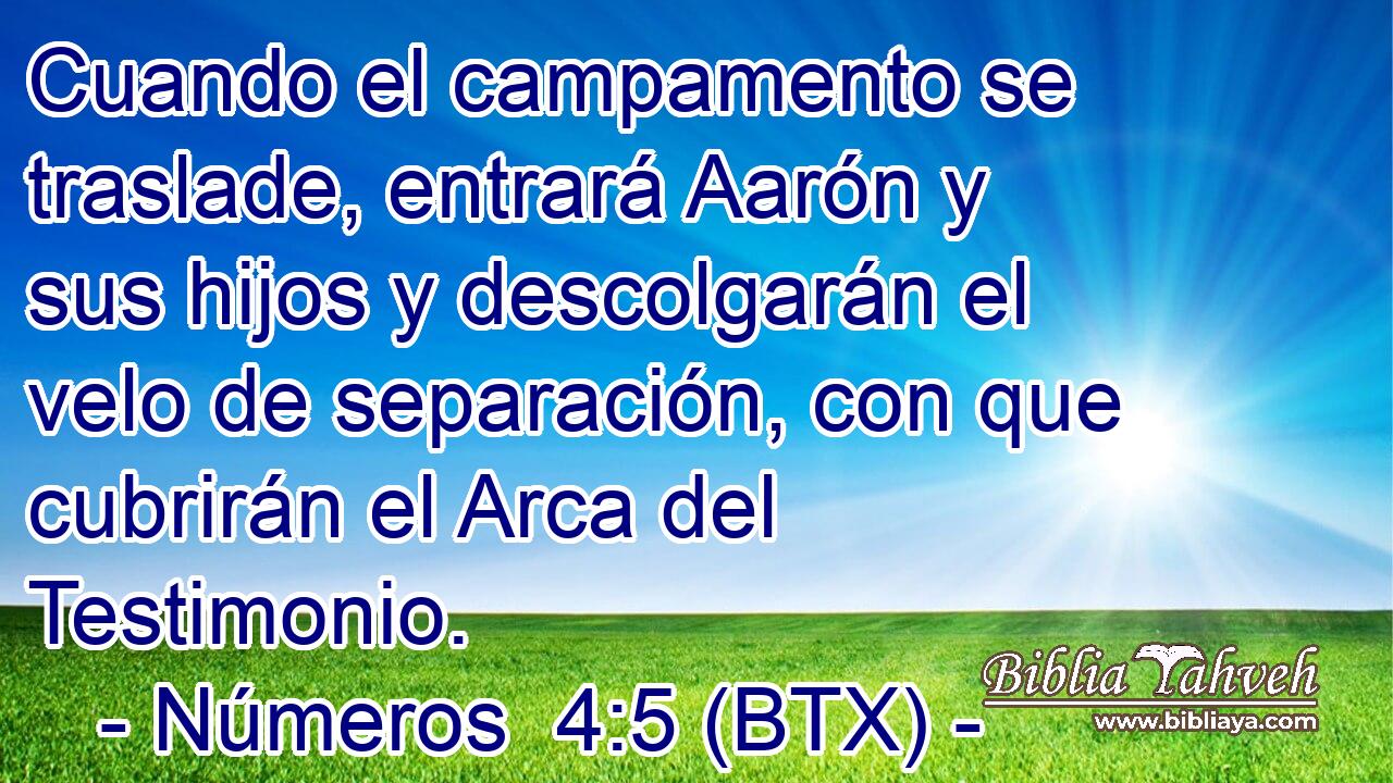 Cuando el campamento se traslade, entrará Aarón y sus hijos y descolgarán el velo de separación, con que cubrirán el Arca del Testimonio.