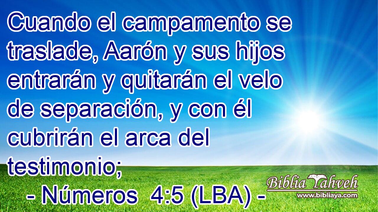 Cuando el campamento se traslade, Aarón y sus hijos entrarán y quitarán el velo de separación, y con él cubrirán el arca del testimonio;